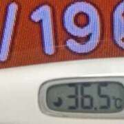 ヒメ日記 2026/05/19 08:44 投稿 加保(ひまわりの約束) おふくろさん 名古屋本店