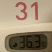 ヒメ日記 2026/05/31 08:43 投稿 加保(ひまわりの約束) おふくろさん 名古屋本店