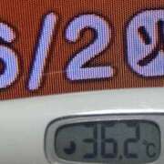 ヒメ日記 2026/06/02 08:47 投稿 加保(ひまわりの約束) おふくろさん 名古屋本店