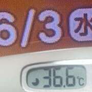 ヒメ日記 2026/06/03 12:14 投稿 加保(ひまわりの約束) おふくろさん 名古屋本店