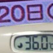 ヒメ日記 2026/06/20 08:46 投稿 加保(ひまわりの約束) おふくろさん 名古屋本店
