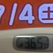 ヒメ日記 2026/07/04 08:44 投稿 加保(ひまわりの約束) おふくろさん 名古屋本店