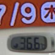 ヒメ日記 2026/07/09 10:34 投稿 加保(ひまわりの約束) おふくろさん 名古屋本店