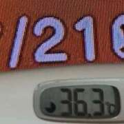 ヒメ日記 2026/07/21 09:18 投稿 加保(ひまわりの約束) おふくろさん 名古屋本店