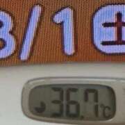 ヒメ日記 2026/08/01 08:46 投稿 加保(ひまわりの約束) おふくろさん 名古屋本店