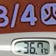ヒメ日記 2026/08/04 08:24 投稿 加保(ひまわりの約束) おふくろさん 名古屋本店