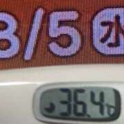 ヒメ日記 2026/08/05 08:21 投稿 加保(ひまわりの約束) おふくろさん 名古屋本店