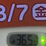 ヒメ日記 2026/08/07 08:45 投稿 加保(ひまわりの約束) おふくろさん 名古屋本店