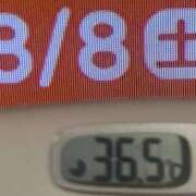 ヒメ日記 2026/08/08 09:31 投稿 加保(ひまわりの約束) おふくろさん 名古屋本店