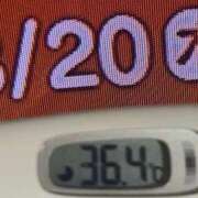ヒメ日記 2026/08/20 09:18 投稿 加保(ひまわりの約束) おふくろさん 名古屋本店
