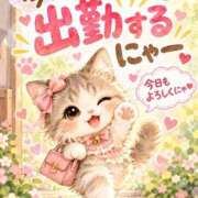 ヒメ日記 2026/09/26 09:11 投稿 加保(ひまわりの約束) おふくろさん 名古屋本店