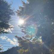 ヒメ日記 2024/12/30 14:16 投稿 矢納あずさ 五十路マダム愛されたい熟女たち岡山店（カサブランカグループ）