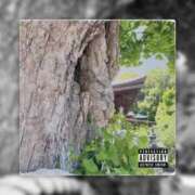 ヒメ日記 2025/05/12 10:14 投稿 矢納あずさ 五十路マダム愛されたい熟女たち岡山店（カサブランカグループ）