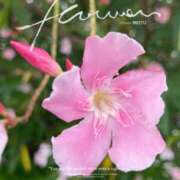 ヒメ日記 2025/06/15 18:30 投稿 矢納あずさ 五十路マダム愛されたい熟女たち岡山店（カサブランカグループ）