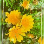 ヒメ日記 2025/06/19 20:42 投稿 矢納あずさ 五十路マダム愛されたい熟女たち岡山店（カサブランカグループ）