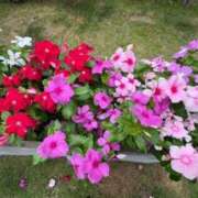 ヒメ日記 2025/06/27 14:42 投稿 矢納あずさ 五十路マダム愛されたい熟女たち岡山店（カサブランカグループ）