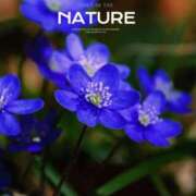 ヒメ日記 2026/01/12 20:00 投稿 矢納あずさ 五十路マダム愛されたい熟女たち岡山店（カサブランカグループ）