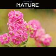 ヒメ日記 2026/01/16 18:14 投稿 矢納あずさ 五十路マダム愛されたい熟女たち岡山店（カサブランカグループ）