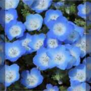 ヒメ日記 2026/02/03 21:54 投稿 矢納あずさ 五十路マダム愛されたい熟女たち岡山店（カサブランカグループ）