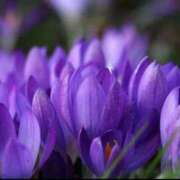 ヒメ日記 2026/02/06 14:08 投稿 矢納あずさ 五十路マダム愛されたい熟女たち岡山店（カサブランカグループ）