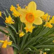 ヒメ日記 2026/04/02 14:06 投稿 矢納あずさ 五十路マダム愛されたい熟女たち岡山店（カサブランカグループ）