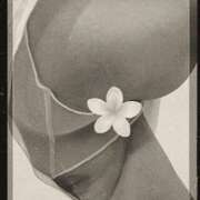 ヒメ日記 2026/04/03 18:26 投稿 矢納あずさ 五十路マダム愛されたい熟女たち岡山店（カサブランカグループ）