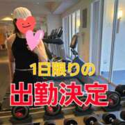 ヒメ日記 2025/12/23 22:24 投稿 桜井みき ドクトル・ストレッチ