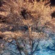 ヒメ日記 2026/04/04 20:25 投稿 えみ 横浜熟女MAX