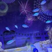 ヒメ日記 2025/08/18 16:24 投稿 かすみ 桃李（とうり）