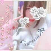 ヒメ日記 2025/05/09 12:00 投稿 やえ ピュアコス学園