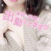 ヒメ日記 2024/12/14 14:34 投稿 さきか 丸妻 新横浜店