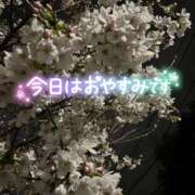 ヒメ日記 2025/01/21 16:22 投稿 さきか 丸妻 新横浜店