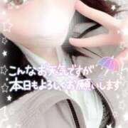 ヒメ日記 2025/02/02 10:34 投稿 さきか 丸妻 新横浜店