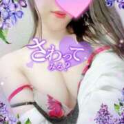 ヒメ日記 2025/02/12 21:30 投稿 さきか 丸妻 新横浜店