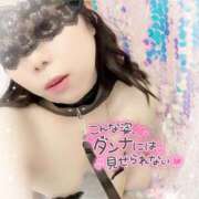 ヒメ日記 2025/04/08 12:09 投稿 さきか 丸妻 新横浜店