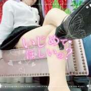 ヒメ日記 2025/04/21 15:16 投稿 さきか 丸妻 新横浜店