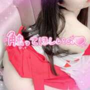 ヒメ日記 2025/07/14 15:00 投稿 さきか 丸妻 新横浜店