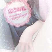 ヒメ日記 2025/07/19 10:44 投稿 さきか 丸妻 新横浜店