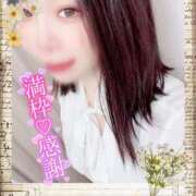 ヒメ日記 2025/11/06 17:46 投稿 さきか 丸妻 新横浜店