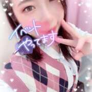 ヒメ日記 2025/12/04 15:35 投稿 さきか 丸妻 新横浜店