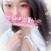 ヒメ日記 2026/01/27 15:52 投稿 さきか 丸妻 新横浜店