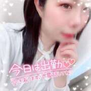 ヒメ日記 2026/02/01 13:50 投稿 さきか 丸妻 新横浜店