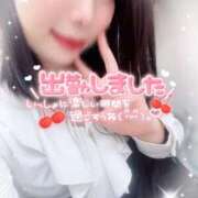 ヒメ日記 2026/02/03 15:57 投稿 さきか 丸妻 新横浜店