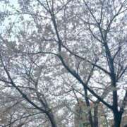 ヒメ日記 2025/03/28 16:03 投稿 なこ 池袋マリン本店