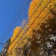 ヒメ日記 2025/12/05 11:46 投稿 なこ 池袋マリン本店