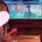 ヒメ日記 2024/12/10 18:40 投稿 るな CECIL