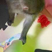 ヒメ日記 2025/01/29 17:47 投稿 るな CECIL