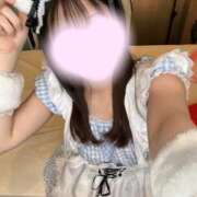 ヒメ日記 2025/10/16 09:23 投稿 るな CECIL