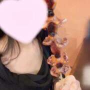 ヒメ日記 2025/11/09 10:32 投稿 るな CECIL