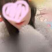 ヒメ日記 2025/12/14 20:11 投稿 るな CECIL